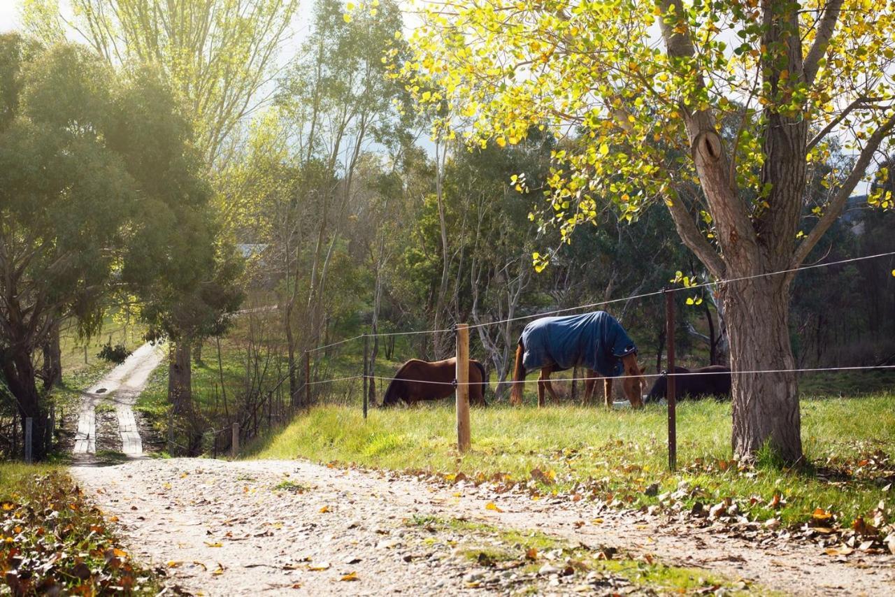 Colby Cottages, Wooragee Near Beechworth ภายนอก รูปภาพ